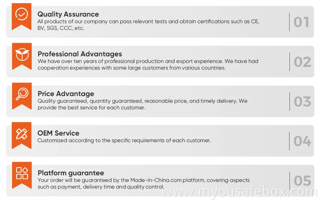 Luxury Fireproof Home Safe with Single Door Fingerprint Access